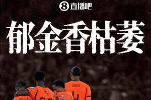 郁金香枯萎!无冕之王荷兰止步世界杯32强,队史进正赛最差成绩