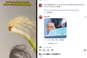爆火!网友用“一根葱”cos哈兰德,哈兰德本人回复,超600万点赞