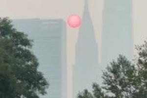 蜘蛛直播-专业体育直播_五大联赛_NBA直播_足球直播